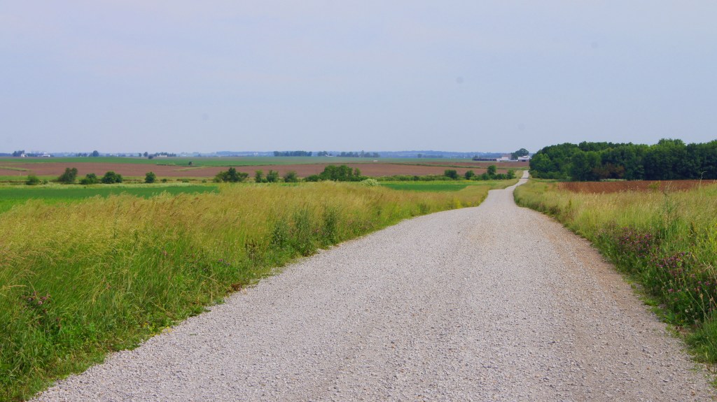 Near Dale Township IL (IL1)