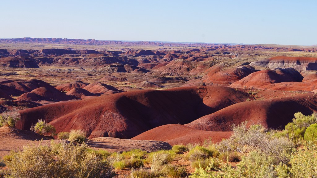 Painted Desert & Petrified Forest AZ