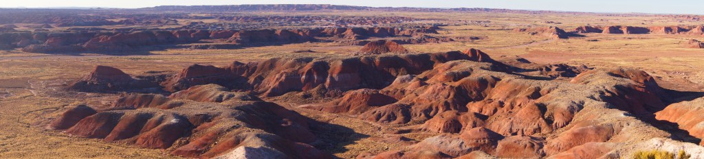 Painted Desert & Petrified Forest AZ