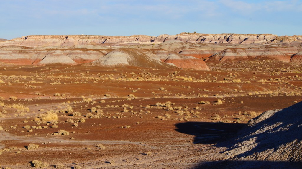 Painted Desert & Petrified Forest AZ