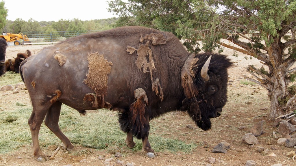 Low in fat, low in cholesterol. (AZH)