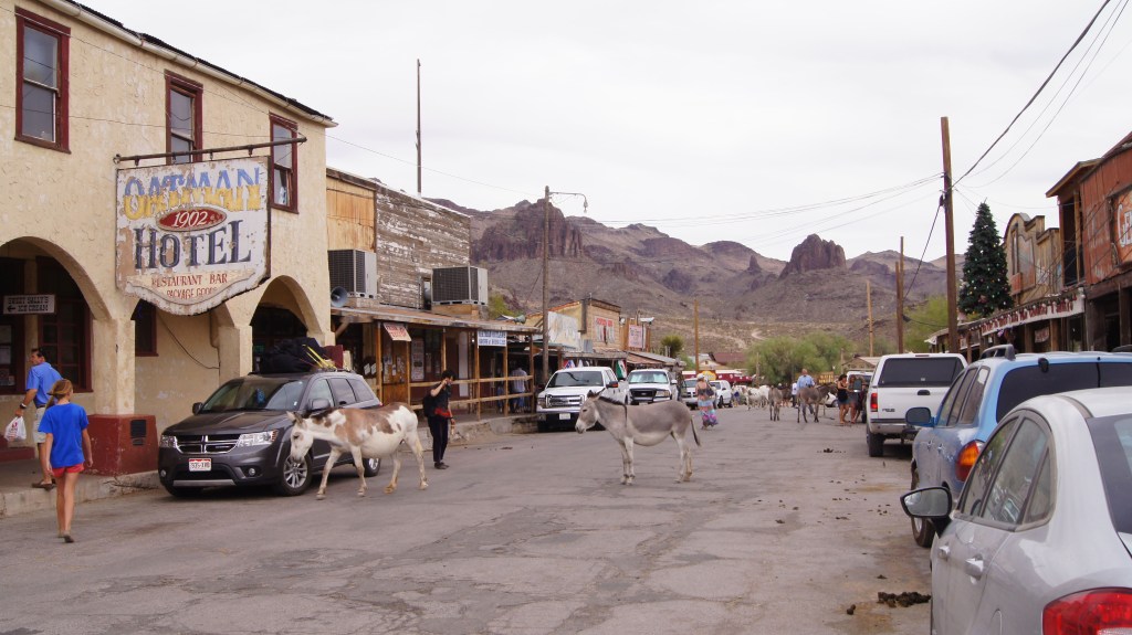 Oatman AZ (AZB1)