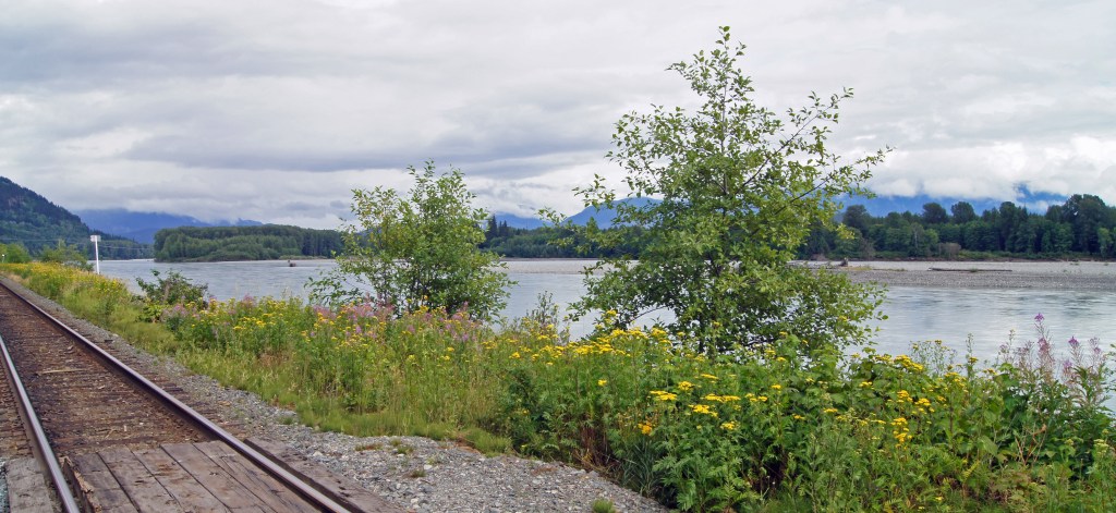 Along the Skeena River BC