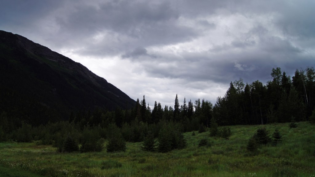 At altitude in the Canadian Rockies