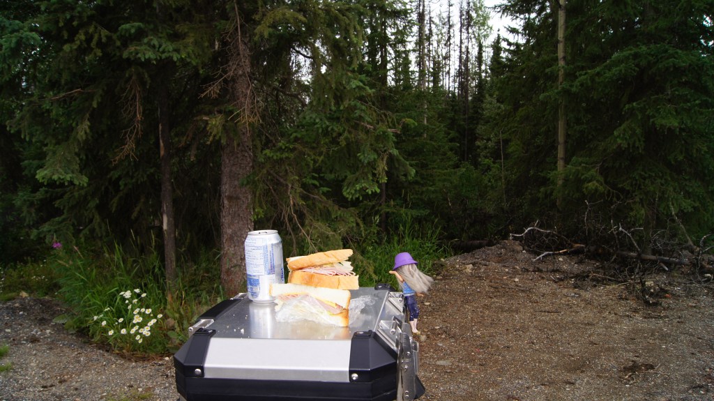 Having lunch with Gracie