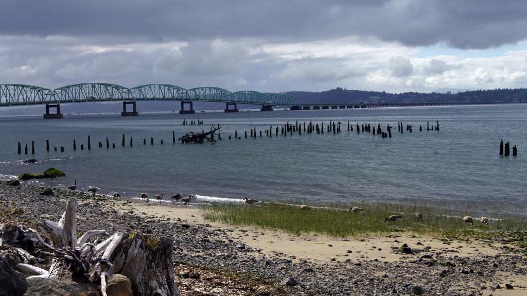 Northern half  of Columbia River at its mouth