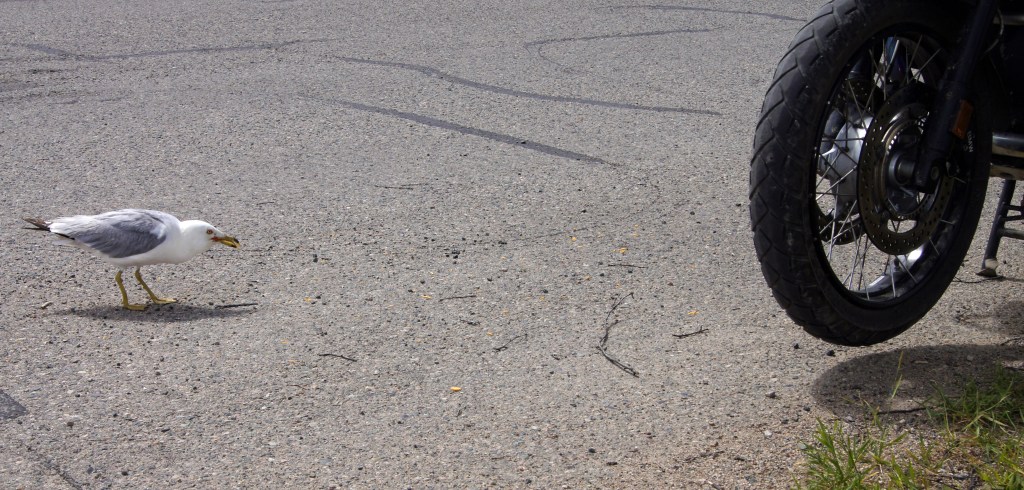 Sharing Doritos with a friend.